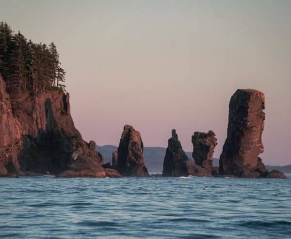 Rugged rock formations as seen on a Port Renfrew whale watching tour.
