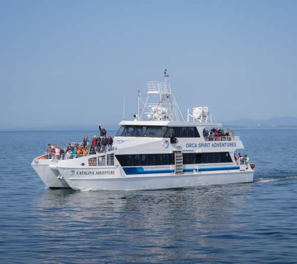 The Catalina Adventure covered vessel on the Salish Sea on a whale watching tour. 