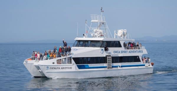 Orca Spirit guests aboard a covered vessel on a fall whale watching tour. 