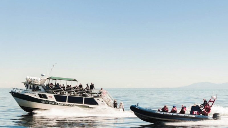 Two boats on calm sea, one larger and one smaller, both with passengers, clear sky.