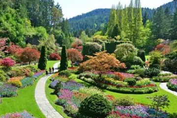 Vibrant garden with colorful flowers, winding paths, and lush greenery on a sunny day.