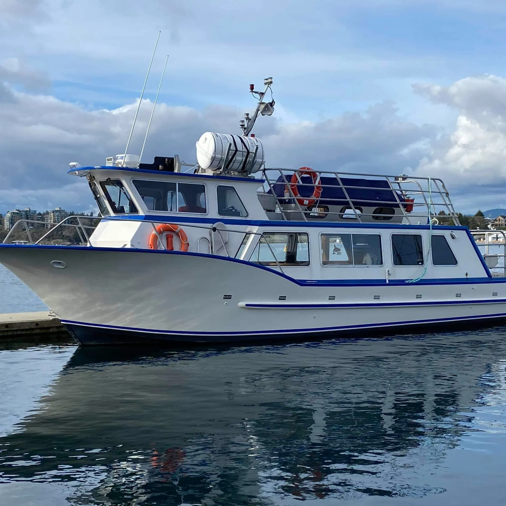 A white and blue motorboat docked at a marina on a cloudy day.