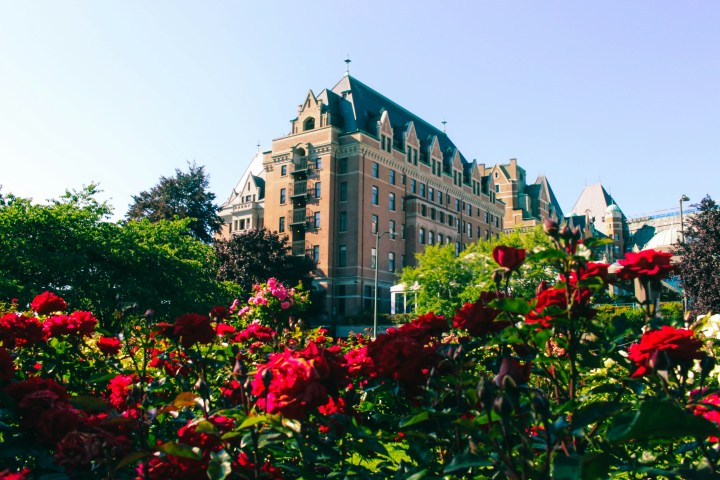 Historic brick building with tall spires behind vibrant red flowers on a sunny day.