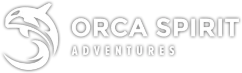 Orca Spirit Adventures